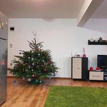 Апартаменты Gloria Apartament Бая-Маре Экстерьер фото